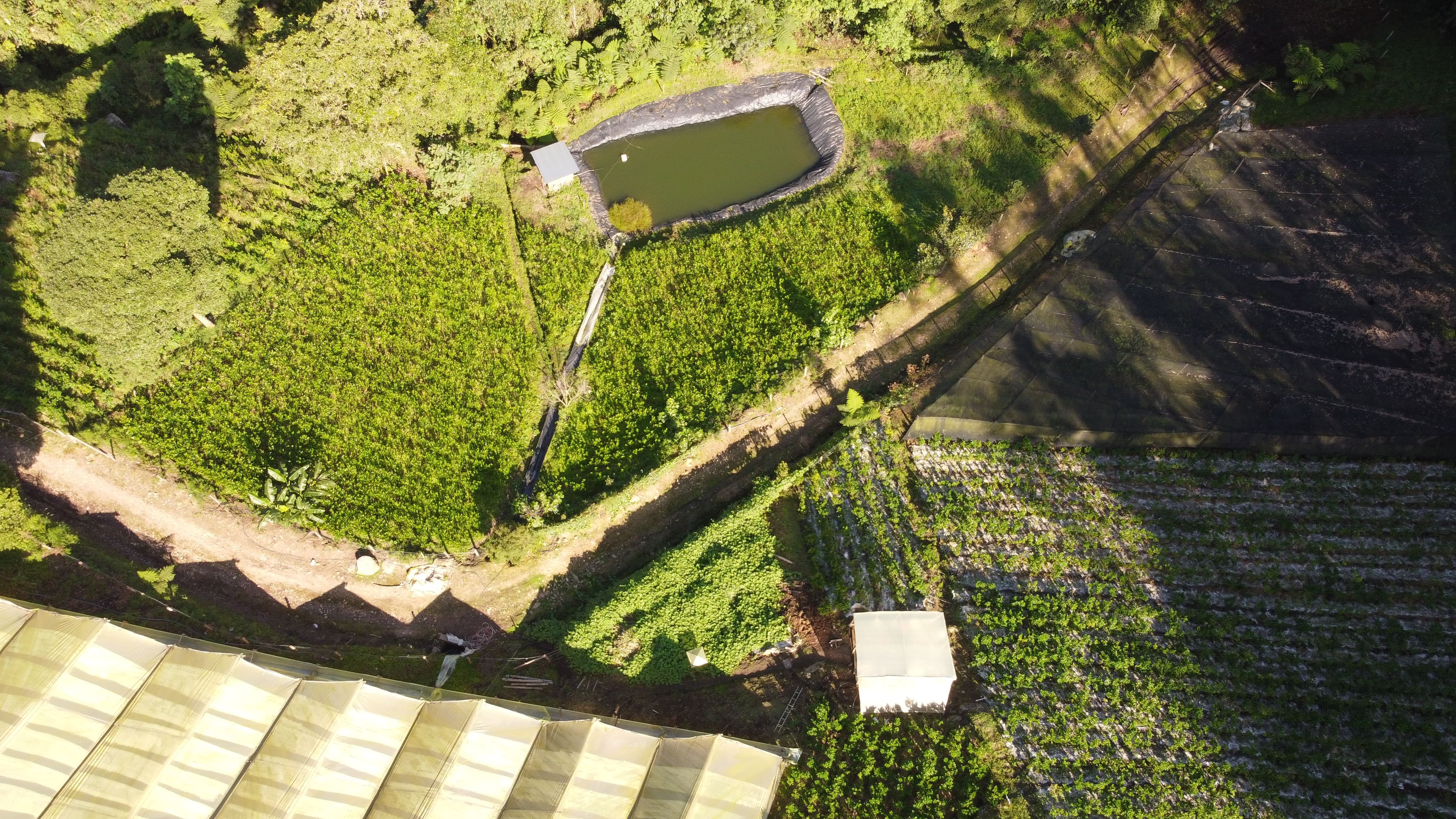 Finca Principal